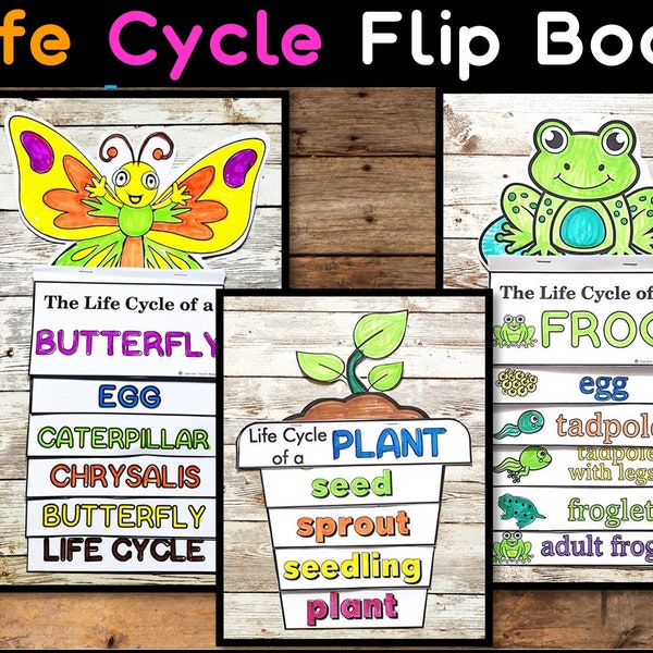 Life cycle of a Butterfly, Frog & Plant Flip Book Craft. Printable Flip up Book, Life cycle Sequencing Activity, Lifecycle Coloring craft