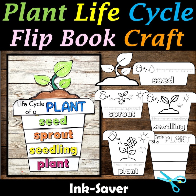 Life Cycle of a Butterfly, Frog & Plant Flip Book Craft. Printable Flip