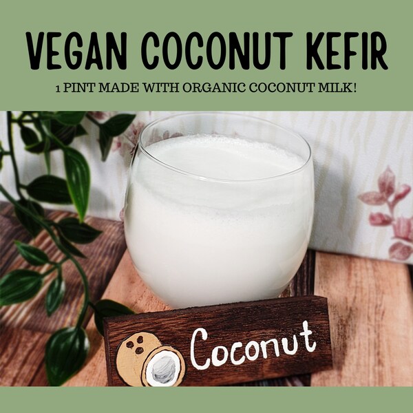 Water Kefir Grains Etsy