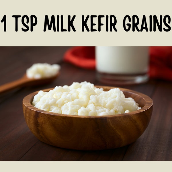 1 TSP Milk Kefir Grains In Glass Jar - Live, Active, Fermented Anaerobically