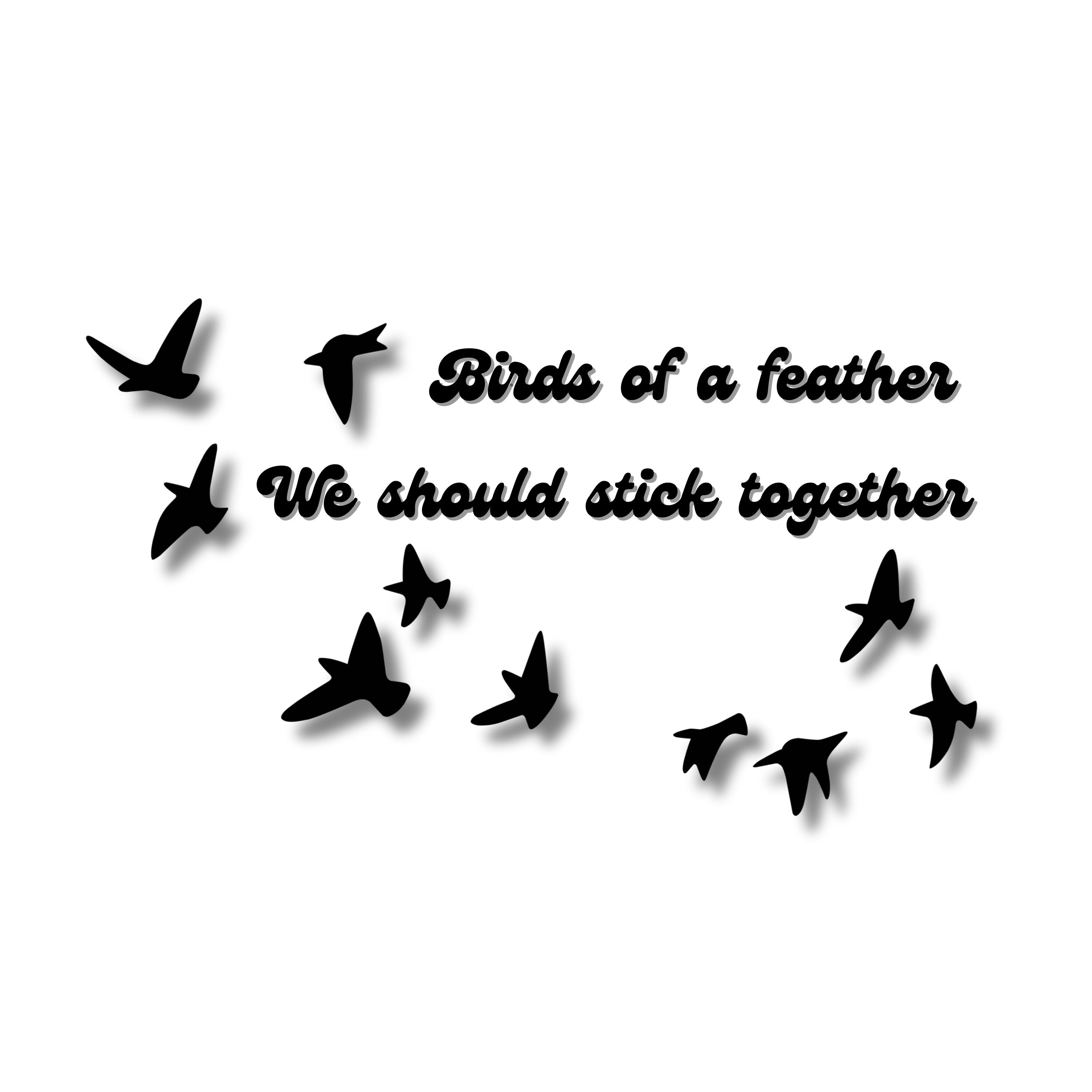 A Bird of Feather Flock Together: Unlocking Social Success Secrets