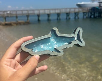 MINI shark tooth shadow box- Goodwin Customs