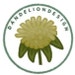 UKDandelionDesign