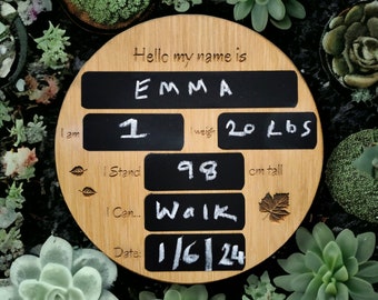 Milestone birthday sign, Photo Prop baby's first year, baby 1st birthday milestone board, Birthday Photo Prop, Chalk Board