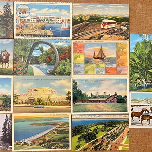 15 cartes postales anciennes vierges, inutilisées, des années 40, parfaites pour les livres d'or de mariage, les albums de coupures, les journaux, Postcrossing, des travaux manuels ou des cadeaux !