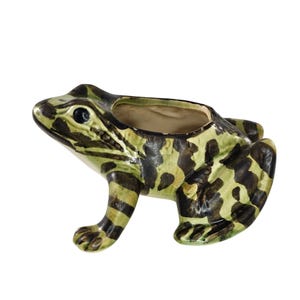May include: A ceramic planter shaped like a frog with a glossy finish. The exterior features a mottled pattern of dark brown and light green spots. The top of the frog has an open, hollow cavity for holding small items or a plant.