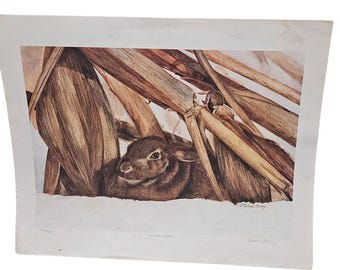 Bunny Print Von Elaine Neeley Winter Refuge Signiert Nummeriert Kaninchen Ostern