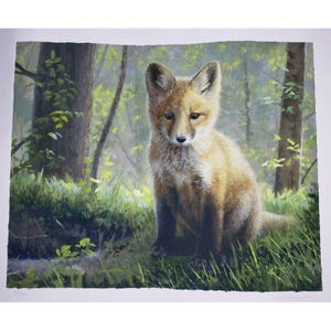 Pat McManus Red Fox Art Print First Spring Numbered Signed Limited Edition