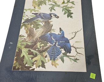 AJ Rudisill Blue Jay Print Art: Birds in Oak Tree, 16x20 Matted Wall Decor