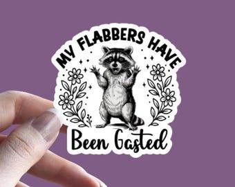 My Flabbers Have Been Gasted - Raccoon Sticker | Sarcastic Raccoon Humor, Gag Gift Rude Raccoon Mood Snarky Animal, Adult Humor Raccoon