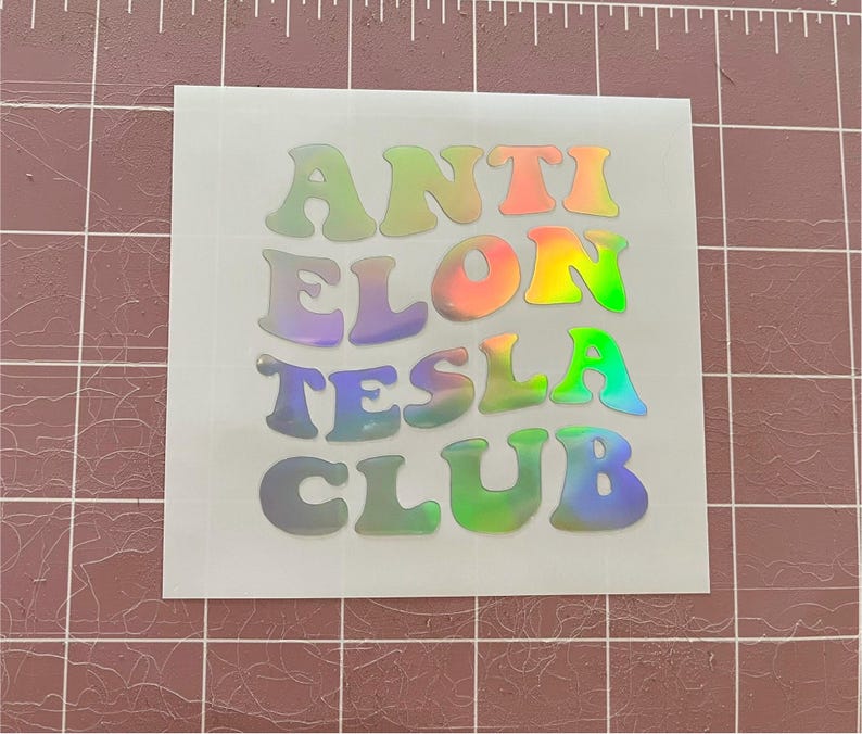 Anti Elon Tesla Club Vinyl Decal | Window Sticker | Bumper Sticker For Tesla Owners For Model X Y Z 3 Elon Musk bild 6