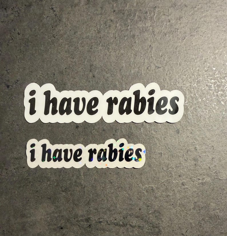 I Have Rabies - Sticker | Trash Panda | Raccoon | Funny Sticker | Sarcastic Sticker | Cute Sticker | Rabies Sticker | Introvert | Warning image 3