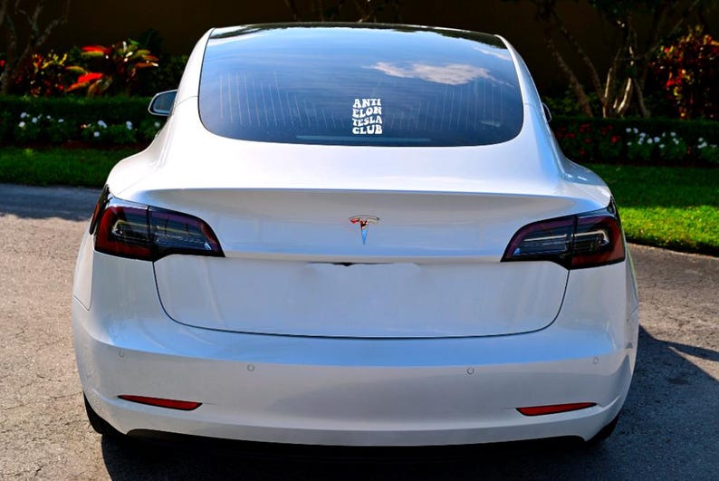 Anti Elon Tesla Club Vinyl Decal | Window Sticker | Bumper Sticker For Tesla Owners For Model X Y Z 3 Elon Musk bild 5