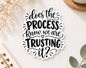 Funny Anxiety Sticker, Mental Health Humor Decal, Trust Process Meme, Funny Work Sticker, Coworker Gift, Sarcastic Employee, snarky stickers