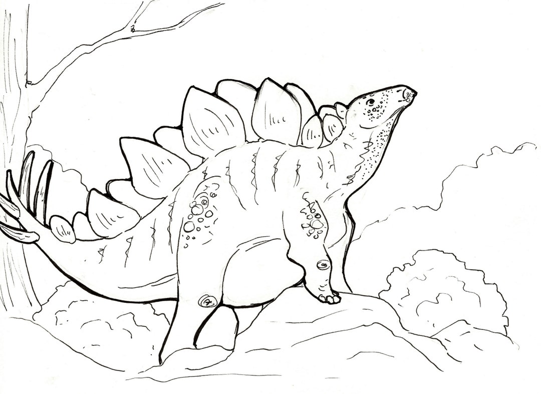 Dinosaur Coloring Page Stegosaurus Printable Etsy