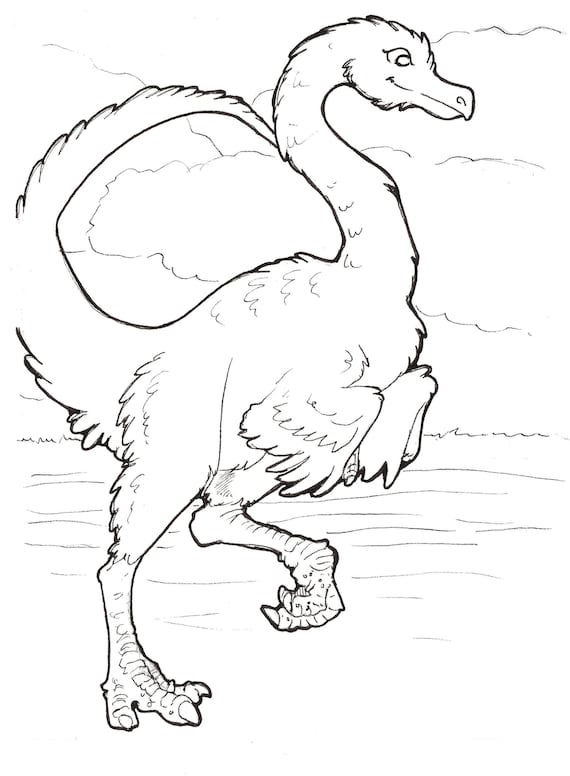 Dinosaur Coloring Page Gallimimus Printable Etsy