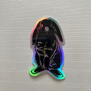 Häschen Holografisch Vinyl Aufkleber | Hase | Schwarz und Weiß | Tier Sticker | Haustier | Bauernhof Tier | Häschen | Ostern | Frühling