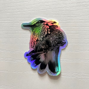 Bird Holographic Vinyl Sticker | Black and White | Rainbow | Colorful | Feathers | Fly | Tweet | Bird Cage | Sparrow | Finch | Parakeet