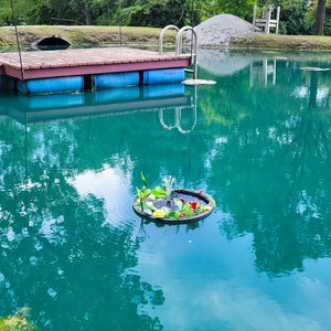 May include: A serene pond with turquoise water reflecting the sky and surrounding trees. A small floating fountain with a decorative arrangement of plants and flowers is in the center. A wooden dock with blue barrels and a metal ladder is visible.