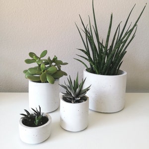 Plant pot made of white concrete, various sizes