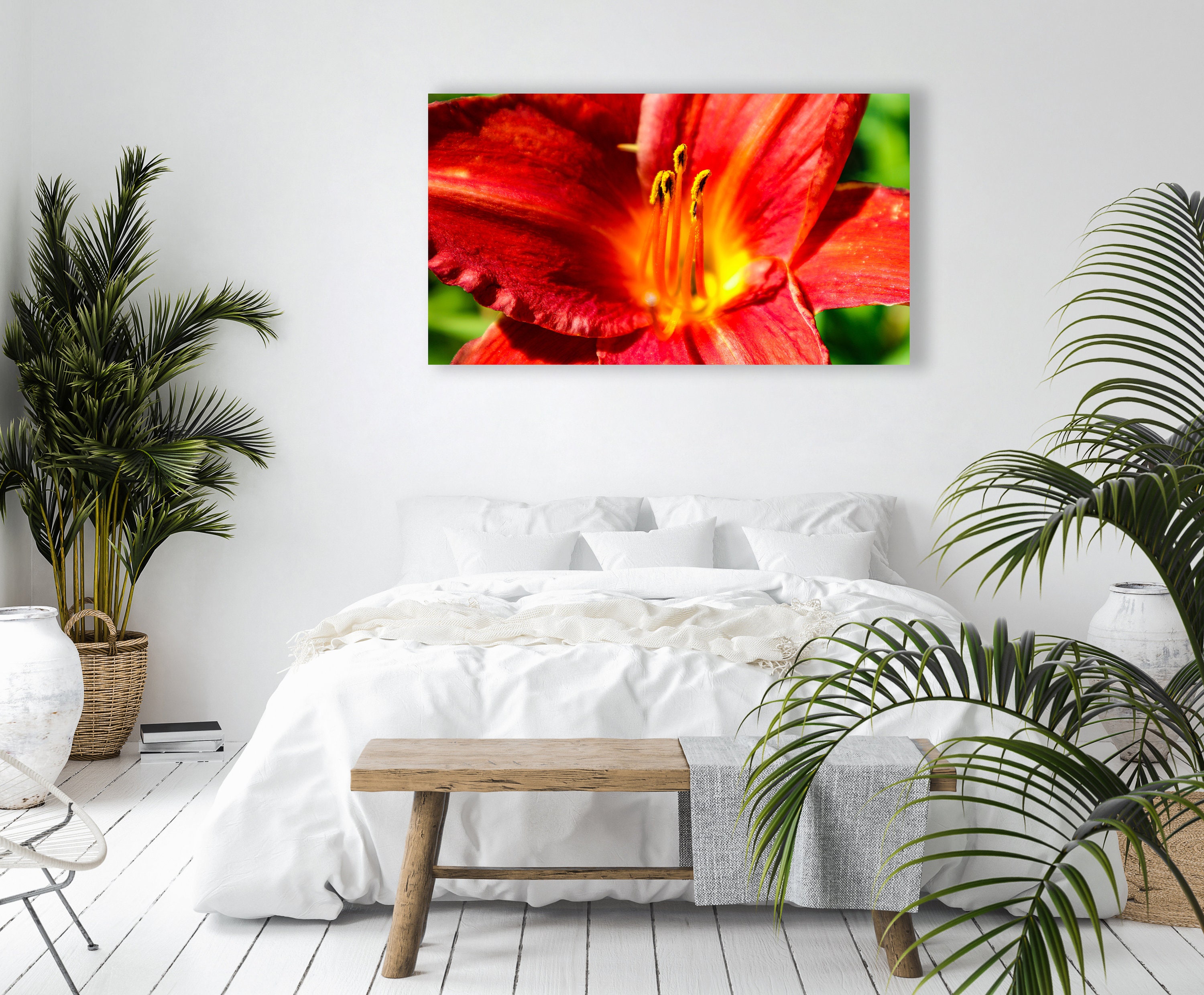 Hera's Gift Day Lily Floral Photo Image Available in Print, Canvas ...