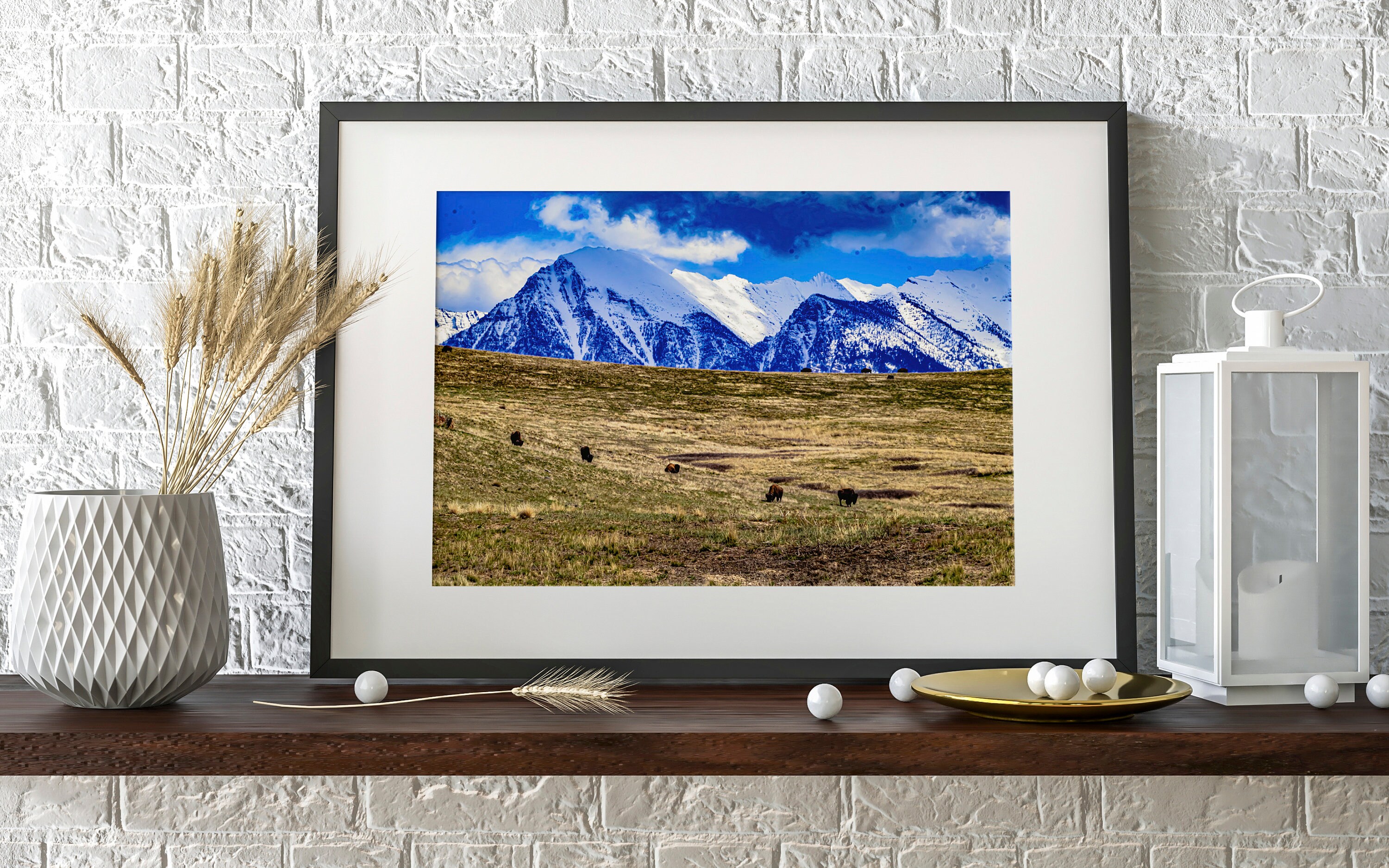 バッファロー山 バッファローが歩き回る場所 - 山の風景 プリント、キャンバス、木