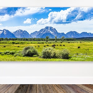 American Fields - Teton Bison Filled Fields Photo Image available in Print Canvas, Wood, Metal or Acrylic to decorate your home or as a gift