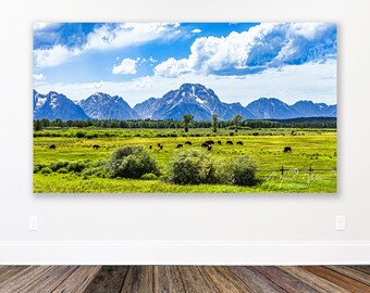 American Fields - Teton Bison Filled Fields-fotoafbeelding beschikbaar als print op canvas, hout, metaal of acryl om je huis mee te decoreren of als cadeau