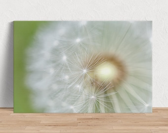 Dandelion Wishes - Dandelion Puff Photo Image beschikbaar als print, canvas hout of acryl om je huis mee te decoreren of als geweldig cadeau om te delen