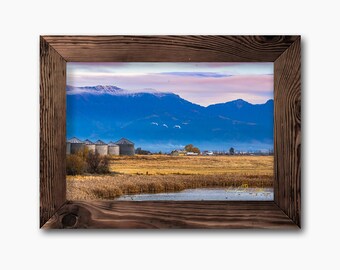 Rise and Fly - Zwaan op landschap, landschapsfoto beschikbaar als print, canvas, hout, metaal of acryl om je huis mee te decoreren of als cadeau.