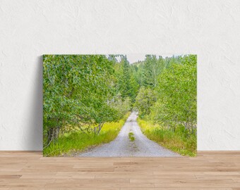 Old Country Road - Green Roadway Fotoafbeelding beschikbaar als print, canvas, hout, metaal of acryl om je huis mee te decoreren of als cadeau te maken om te delen