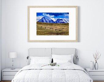 バッファローが歩き回る場所 - 山の風景 プリント、キャンバス、木