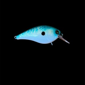 Leurre à manivelle Hickor Shad Squarbill 2-5 ft