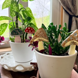 May include: Two white ceramic pots with plants and decorative mushroom stakes. One pot has a large-leafed plant with a green and pink mushroom stake. The other pot has a succulent with two mushroom stakes.