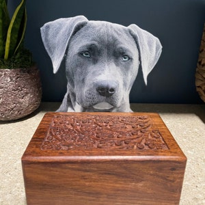 Pet Loss Memorial - Acrylic Photo Statuette Attachment for Urn Memorial Box - Dog and Cat Gift