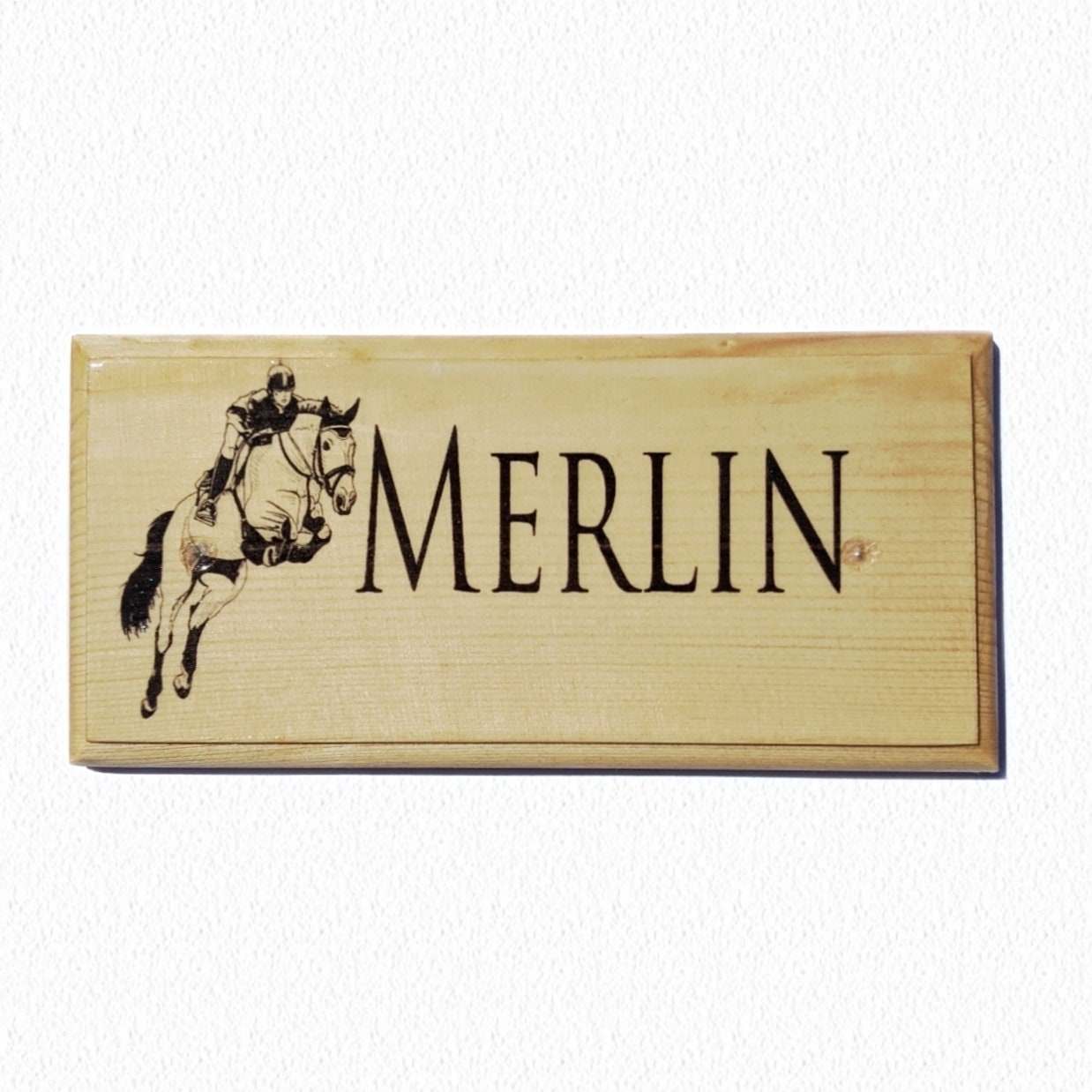 Personalised Horse Name Sign, Custom Jumping Event Horse Stable Door