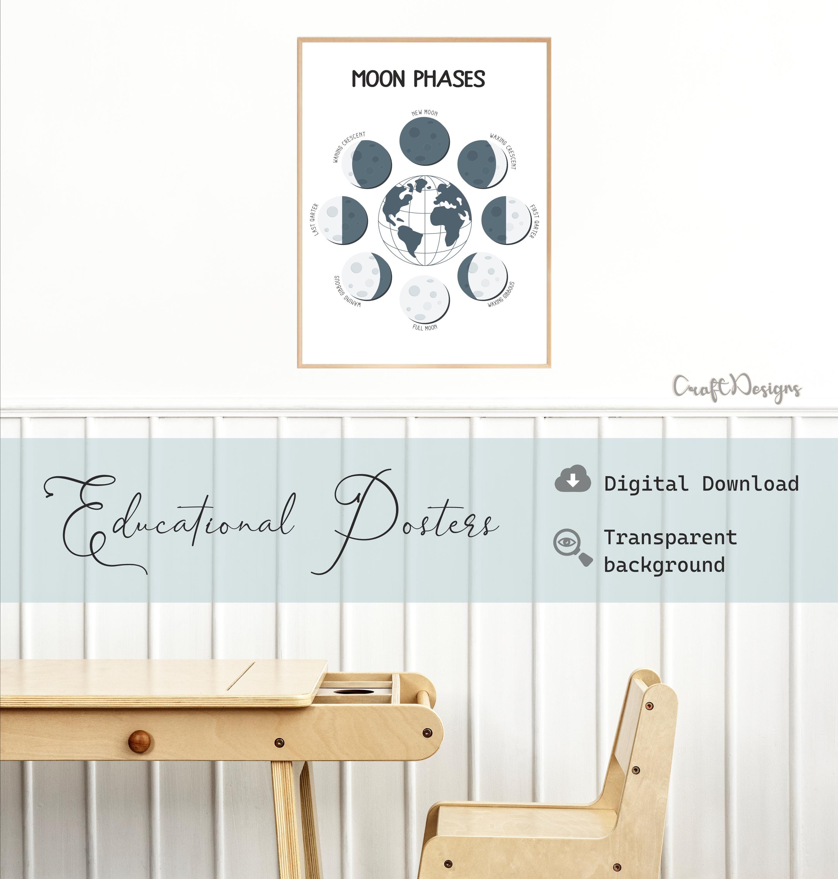Moon Phases Poster Printable Homeschool Educational Poster, Solar ...
