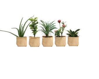 5 Pack of I Gallon Biodegradable Grow Pot - Nursery Pots - Growing Plants - Indoor Outdoor – Plastic-Free – Eco-Friendly - Vegetable Planter