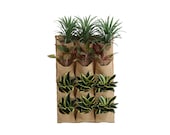 Vertical Garden Living Wall Planter - Eco-Friendly - 12 Pocket - Outdoor Indoor - Hanging Plant - Balcony - Patio - Biodegradable