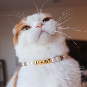 Personalized Pearl Pet Collar Necklace Shell Necklace Elegant Pet Jewelry Fancy Pearl Cat Collar with Name Beaded Cat Collar Pet Accessory
