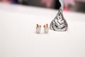 CUSTOM Miniature cat/dog replicas