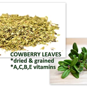 Cowberry, Lingonberry, herbal remedies, herbalism, loose leaf tea, botanical tea