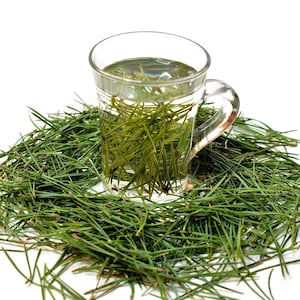 Pine needles for tea, antioxidant, pinus mugo, suramine, kiefernadel tee, smothie, kiefernnadeln, health green tea, kiefernharz, di pino