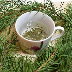 Pine tea, suramine, pine buds, health green tea, kiefernnadeln, aghi di pino per tisana