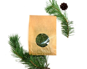 Pine Leaf Etsy