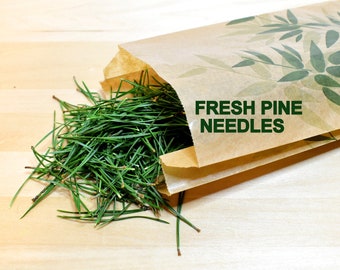 Pine needles for tea, pinus strobus, magical herbs, green tea, kiefernadel tee, suramin, gesundheit, di pino, primus