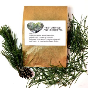 Pine needles for tea, antioxidant, pinus mugo, suramine, kiefernadel tee, smothie, kiefernnadeln, health green tea, kiefernharz, di pino image 1