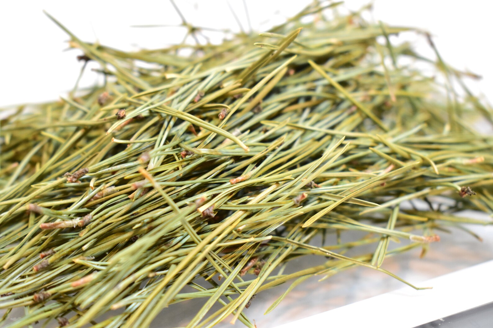 Wild Harvest Pine Needle Tea - 10 Oz Loose Leaf, Organic, Caffeine-Free Herbal Tea