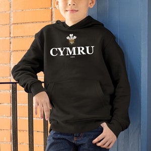 Wales Cymru Hoodie, Welsh Top, Supporters Jersey, Welsh Tee, Cymru Hoodie, Cymru Hoody