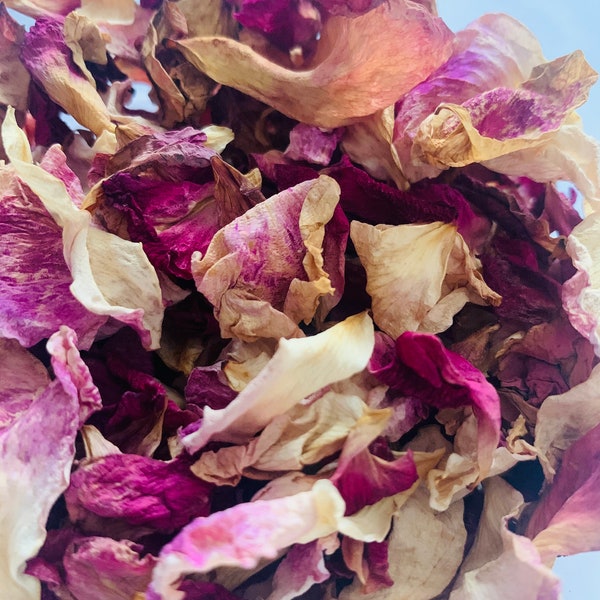 Bulk Rose Petals Etsy